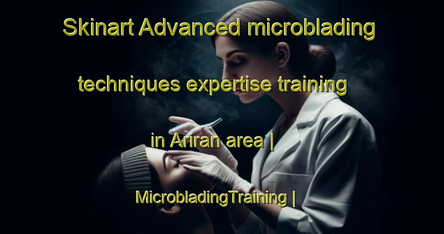 Skinart Advanced microblading techniques expertise training in Ariran area | MicrobladingTraining | MicrobladingClasses | SkinartTraining-China